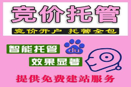 SEM托管服务，实战案例展示营销效果